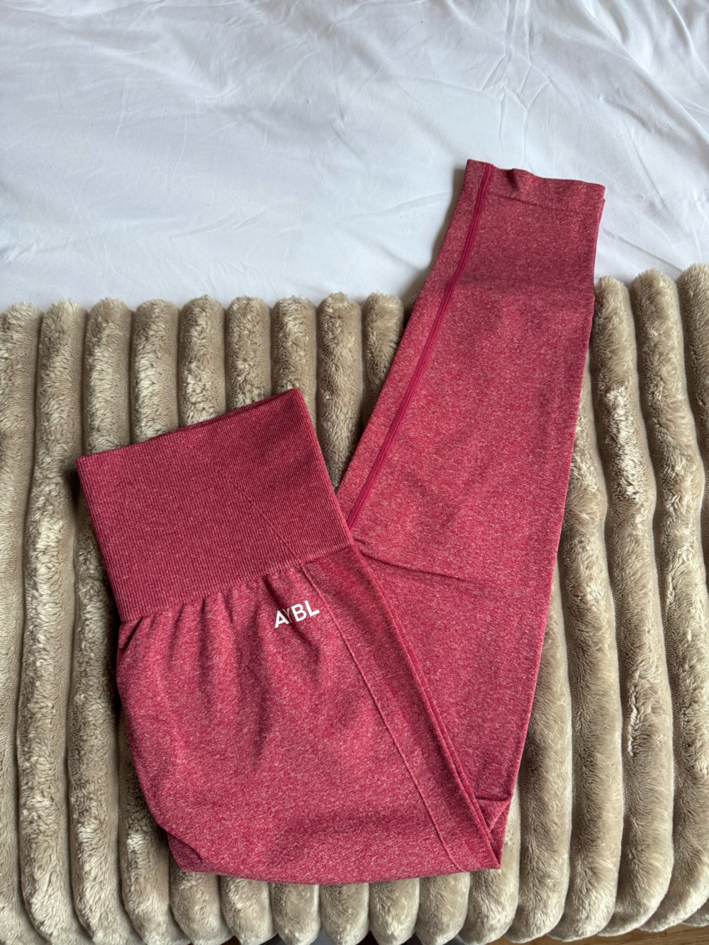 AYBL EMPOWER SEAMLESS LEGGINGS